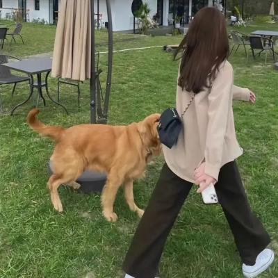 鬼入镜:诅咒